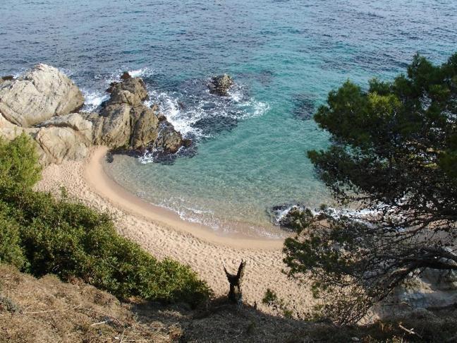 Apartamento Laurel Lloret de Mar Exterior foto